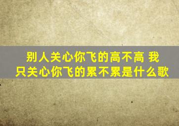 别人关心你飞的高不高 我只关心你飞的累不累是什么歌